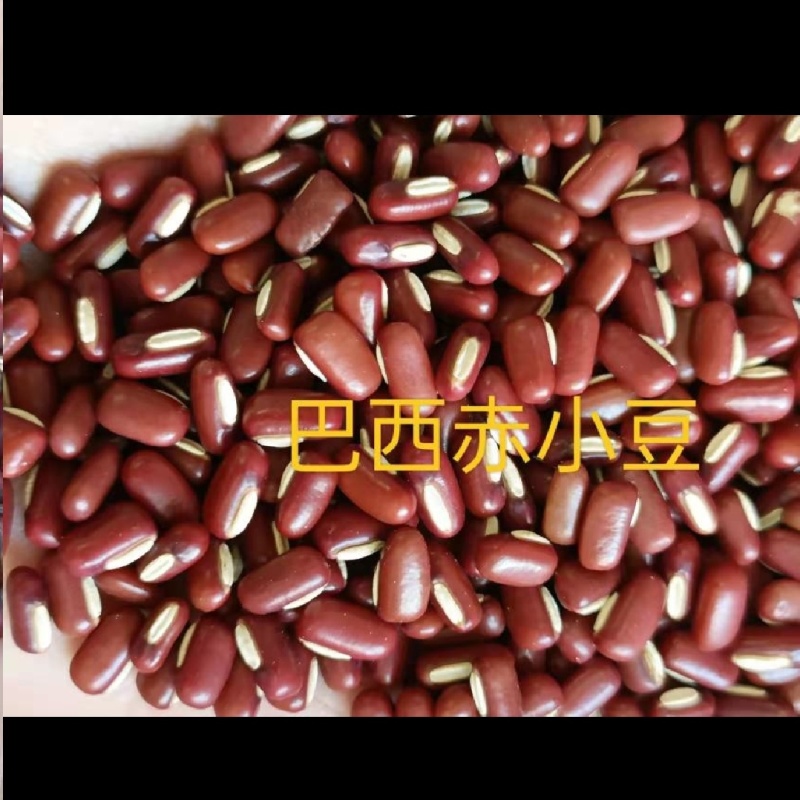 赤小豆，规格齐全，物美价廉，烘焙食品加工现货，欢迎咨询