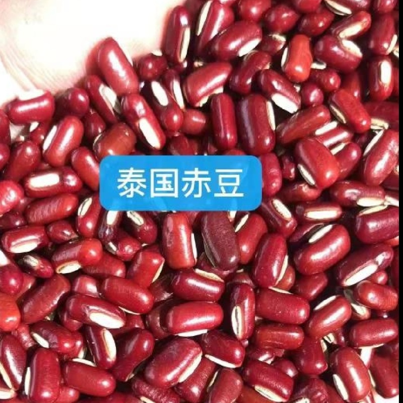 赤小豆，规格齐全，物美价廉，烘焙食品加工现货，欢迎咨询