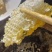 云南深山里野生蜂蜜，出沙的蜂蜜，有需要可咨询