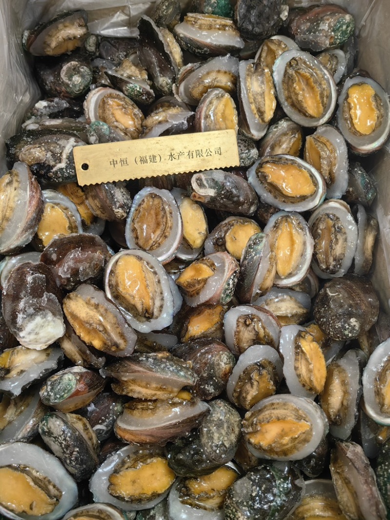 二去鲍鱼清蒸浇汁佛跳墙商用去肠带壳鲍鱼中C袋装批发