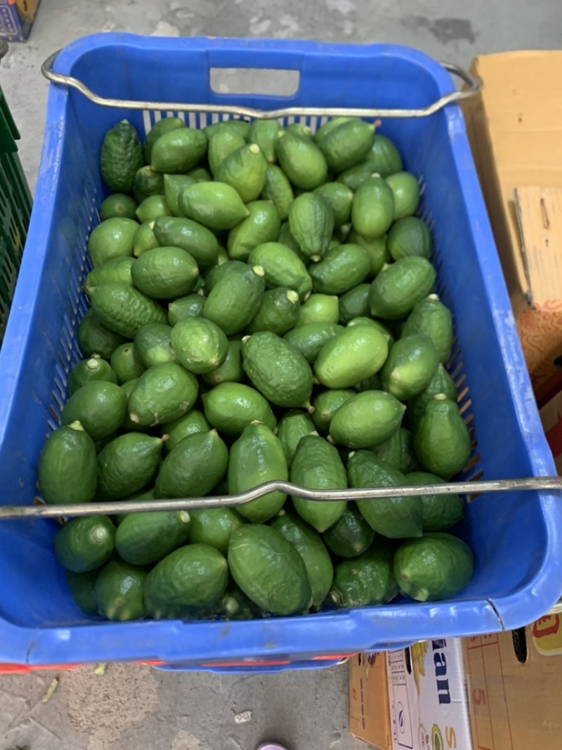 广东香水柠檬