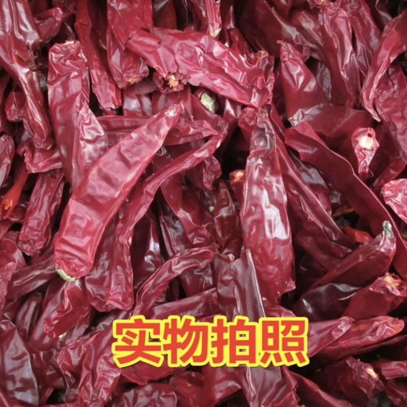 红油细粉，新疆大板椒，红龙23