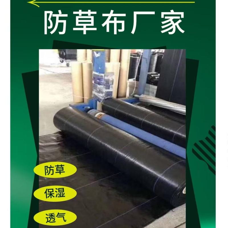 果树防草布可使用3-5年农场防草地布生产厂家直销