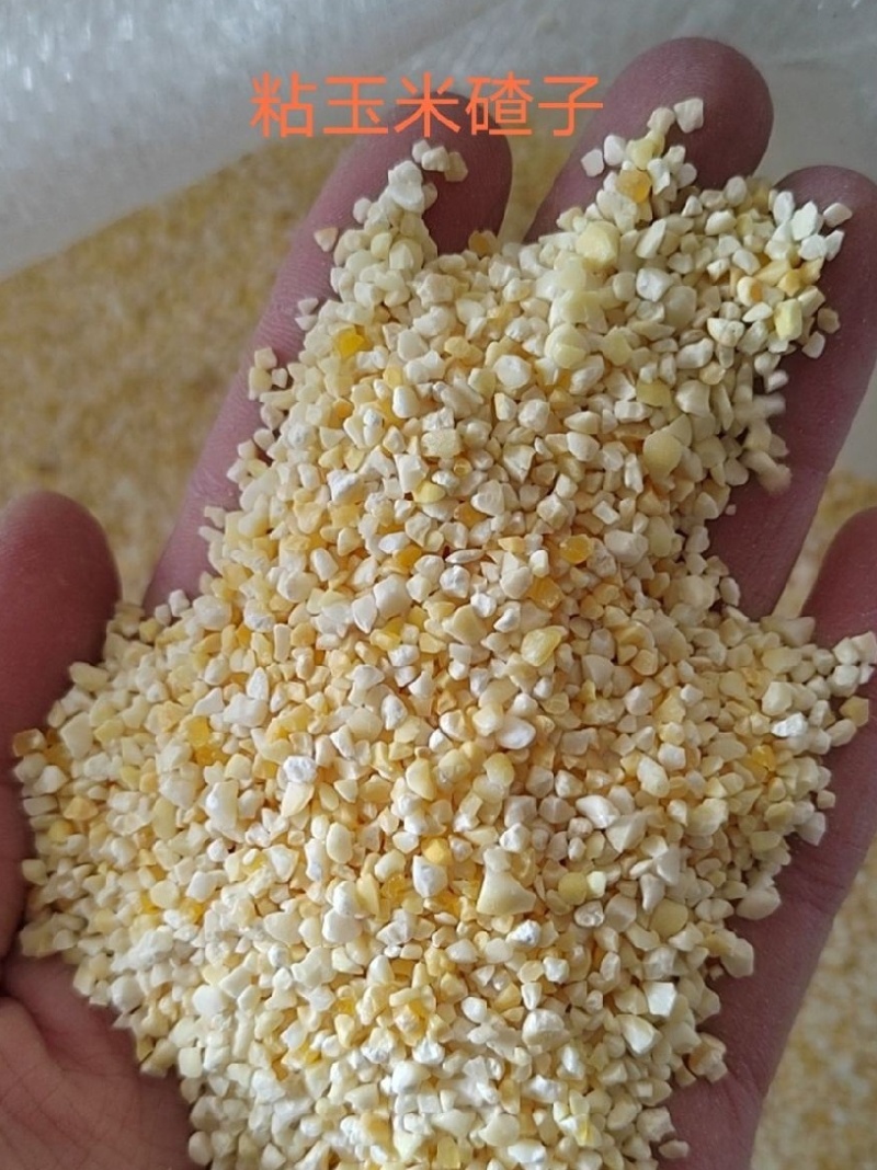 玉米碴，黏玉米碴子，白色，黄色，大中