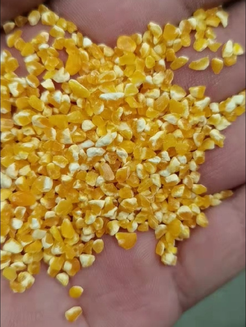 玉米碴，黏玉米碴子，白色，黄色，大中