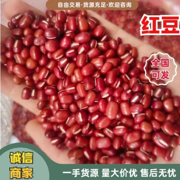 红豆，比重色选抛光量大从优，欢迎来电咨询