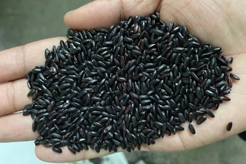 黑米（黑珍珠，大红袍）量大从优，欢迎来电咨询