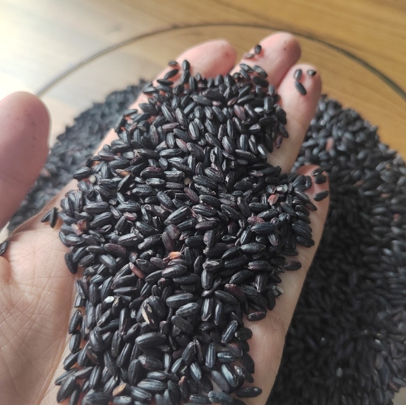 黑米（黑珍珠，大红袍）量大从优，欢迎来电咨询