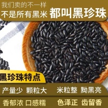 黑米（黑珍珠，大红袍）量大从优，欢迎来电咨询