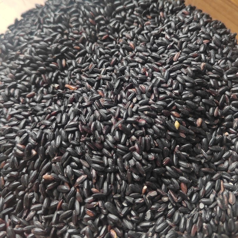 黑米（黑珍珠，大红袍）量大从优，欢迎来电咨询