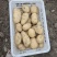 黄心土豆基地直发货源充足质量保障诚信为本欢迎来电