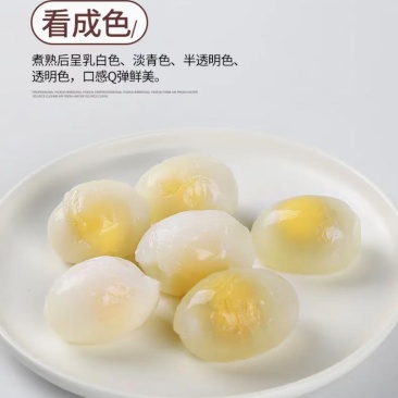 富硒鸽子蛋，厂家一手货源