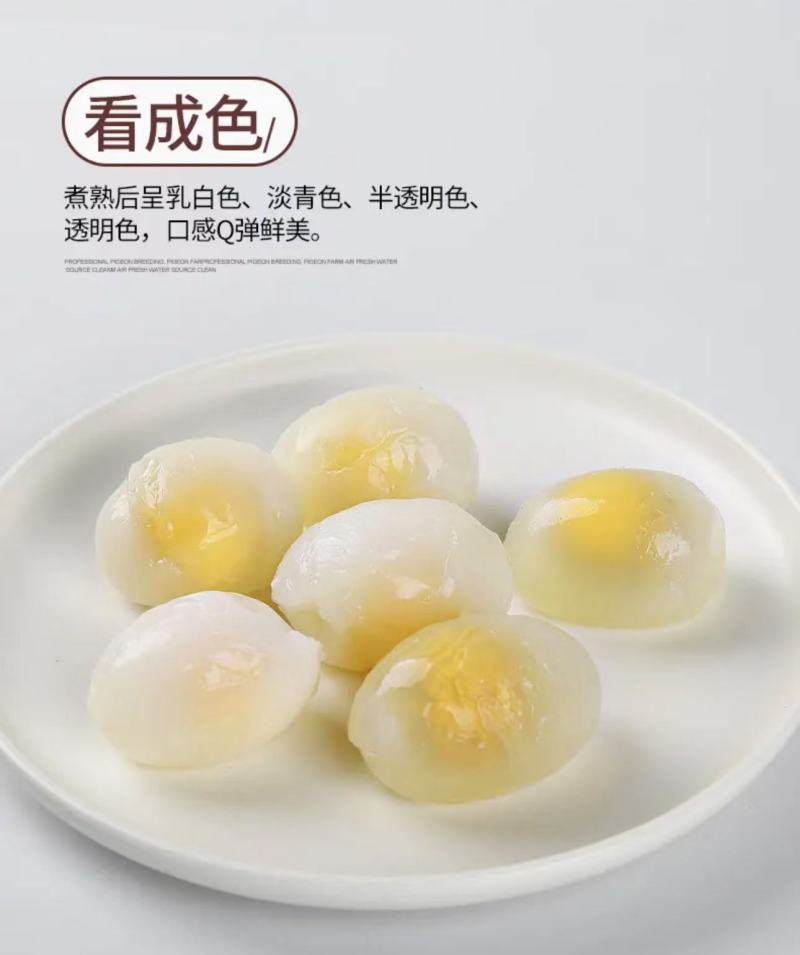 富硒鸽子蛋，厂家一手货源