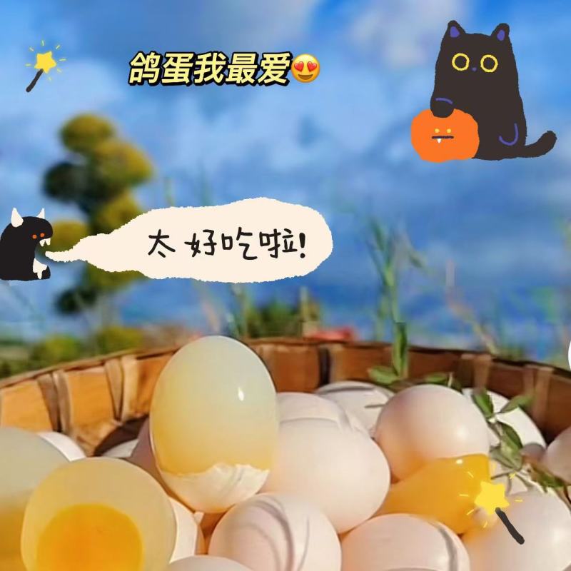 富硒鸽子蛋，厂家一手货源