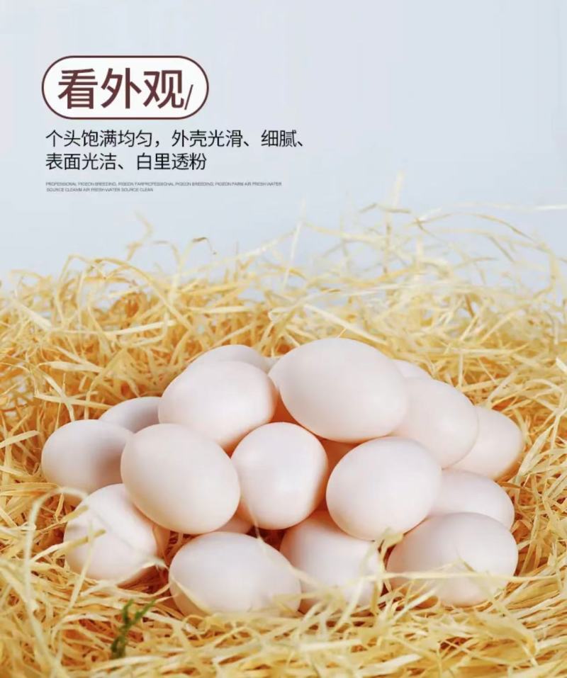 富硒鸽子蛋，厂家一手货源