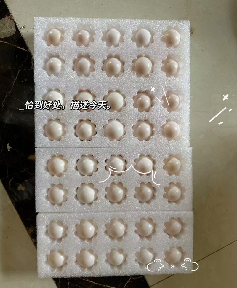 富硒鸽子蛋，厂家一手货源