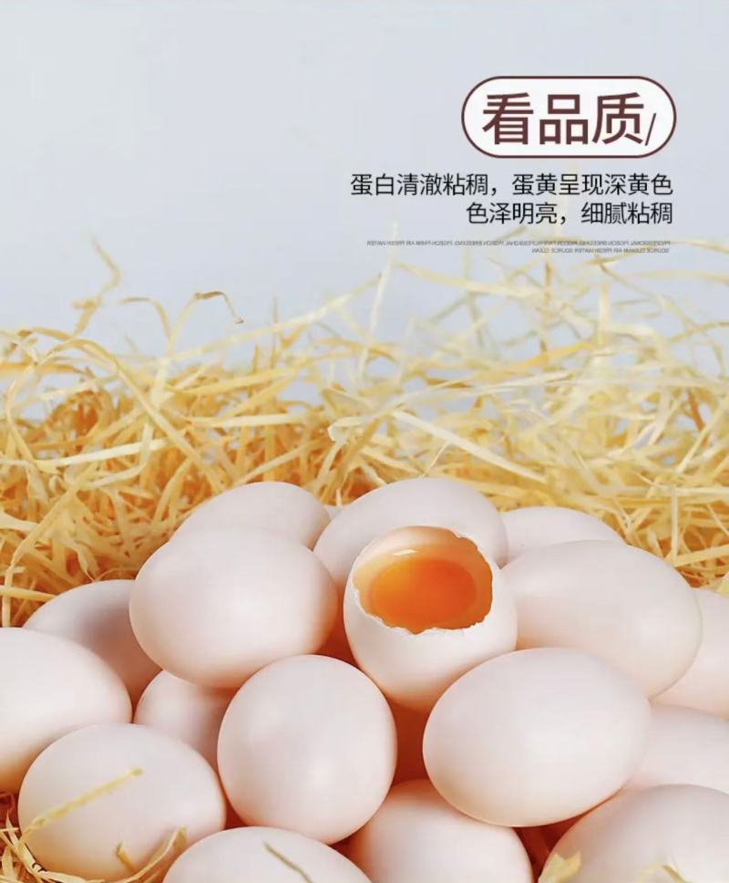 富硒鸽子蛋，厂家一手货源
