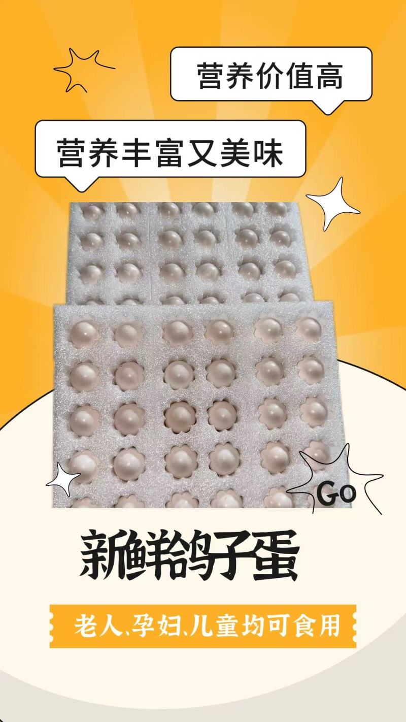 富硒鸽子蛋，厂家一手货源