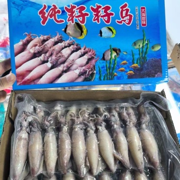 带籽籽乌满籽天然籽