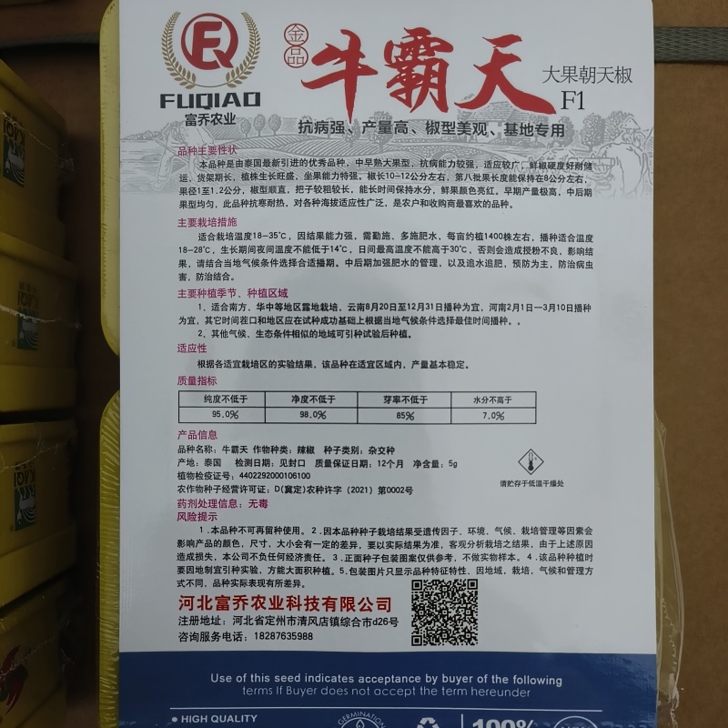 厂家直销朝天椒种子大果型泰国引进朝天椒种子热销品种果硬