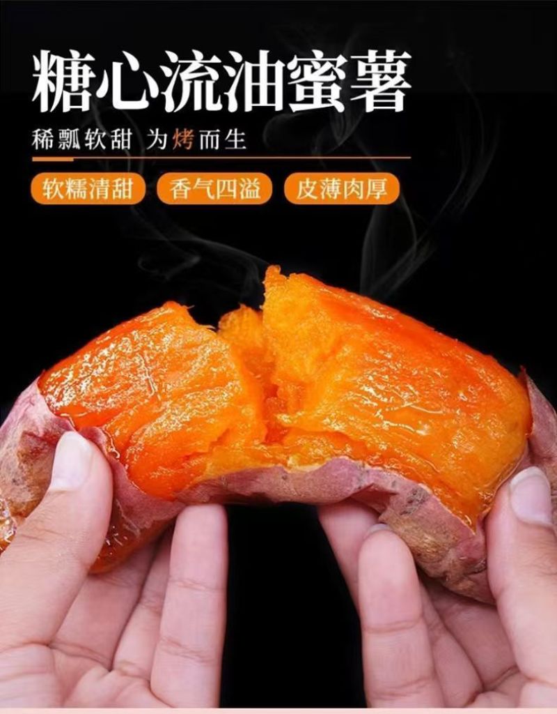 正宗烟薯25号红心蜜薯烤红薯一件代发批发装车10斤包邮