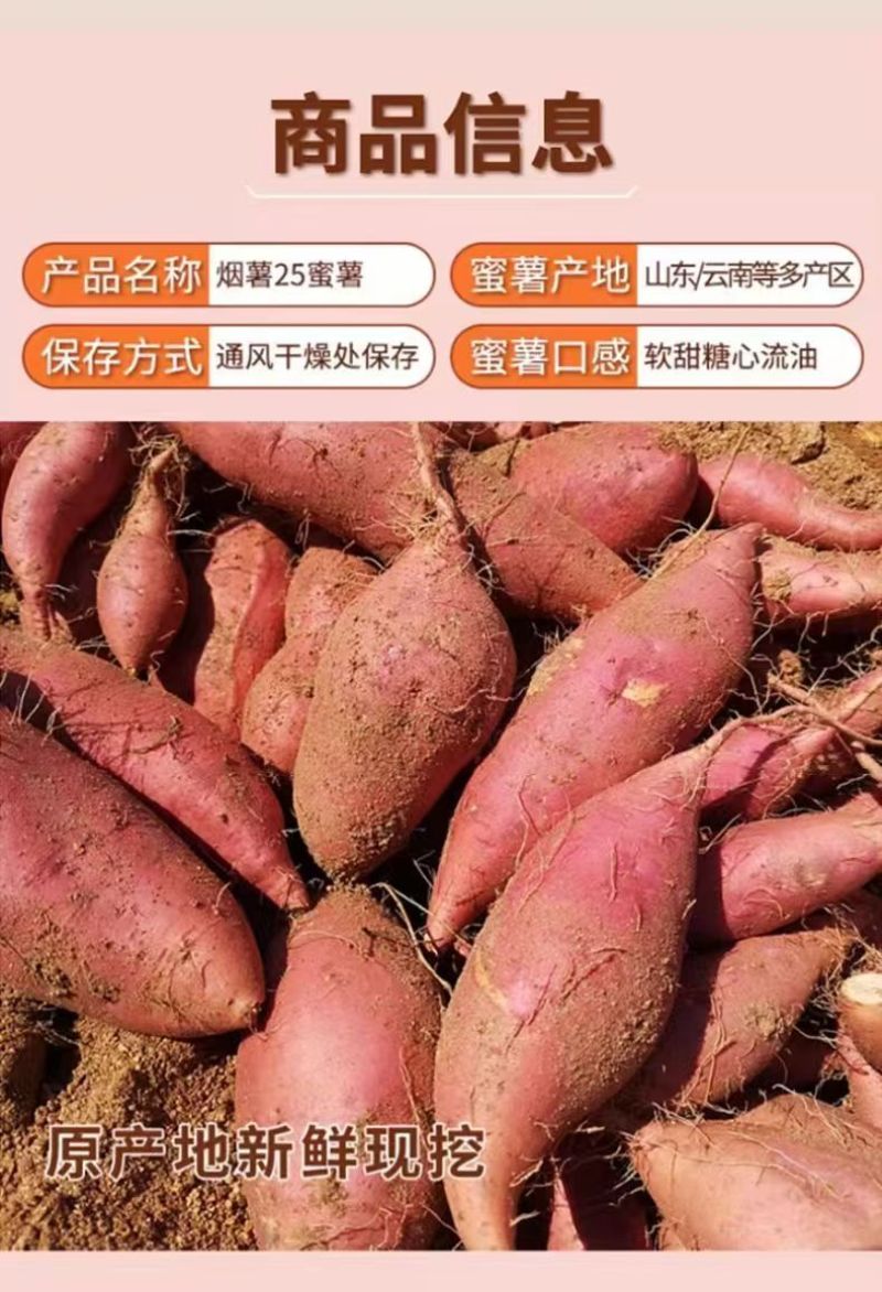 正宗烟薯25号红心蜜薯烤红薯一件代发批发装车10斤包邮