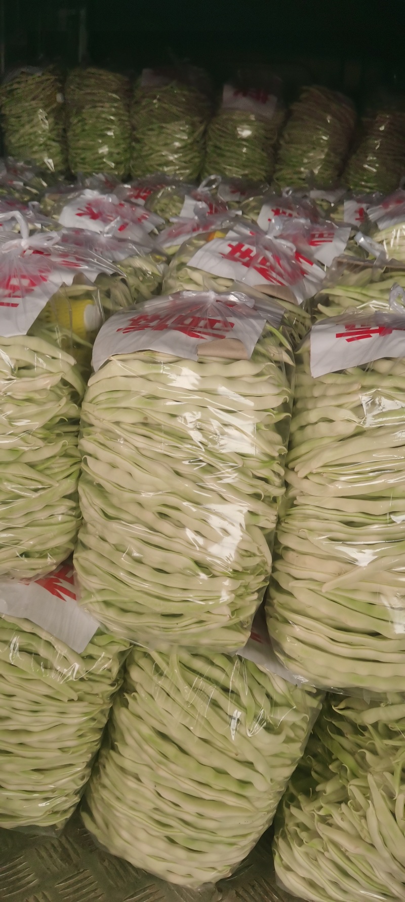 河南芸豆，白不老，品质好，视频看货，线上保障交易