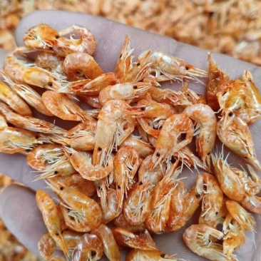 水煮熟虾，亏本价格便宜