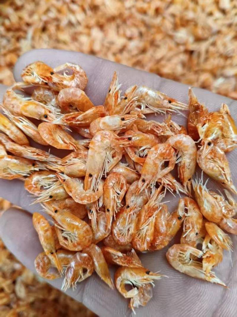 水煮熟虾，亏本价格便宜