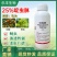 25%啶虫脒乳油剂蚜虫蓟马飞虱白粉虱