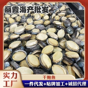 带壳鲍鱼干，鲍鱼干冻干鲍鱼干货批发，海参鲍鱼散装干货礼盒