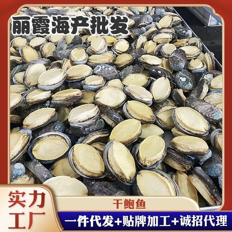 带壳鲍鱼干，鲍鱼干冻干鲍鱼干货批发，海参鲍鱼散装干货礼盒