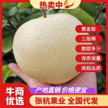 梨，黄金梨，出口级别，欢迎老板咨询，量大从优！