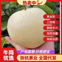 梨黄金梨，三层棉，皮薄，汁多，无渣，大量上市中！