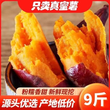 正宗西瓜红暑地瓜蜜薯烤烟薯