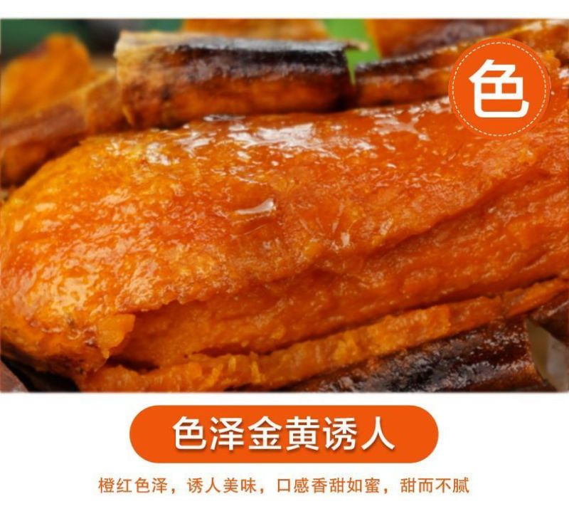 正宗西瓜红暑地瓜蜜薯烤烟薯