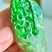 翡翠原石