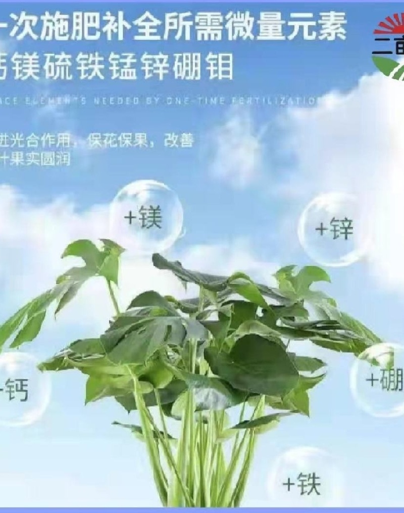 微量元素水溶肥硼锌锰铁镁钙硅