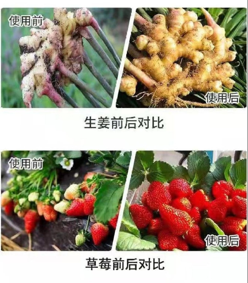 微量元素水溶肥硼锌锰铁镁钙硅