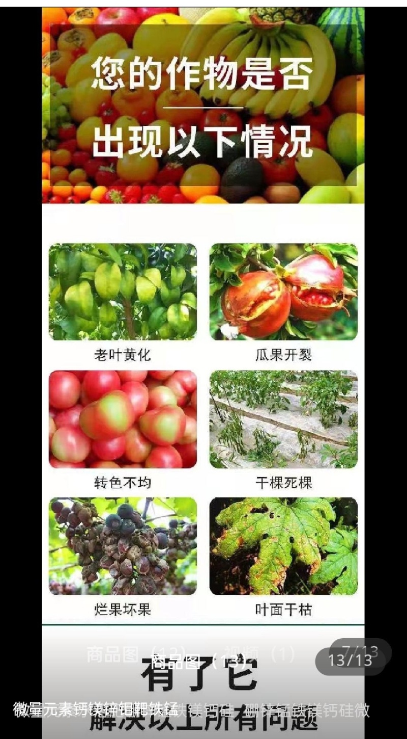 微量元素水溶肥硼锌锰铁镁钙硅