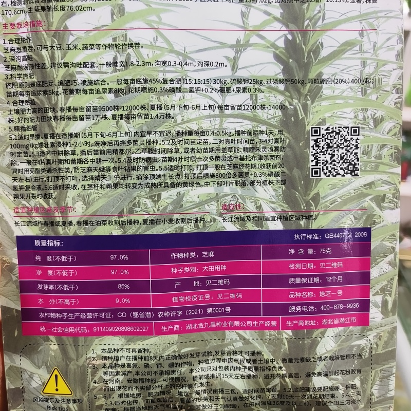 塔芝一号黑芝麻种子高产抗病抗倒芝麻种籽大田种植种孑原装