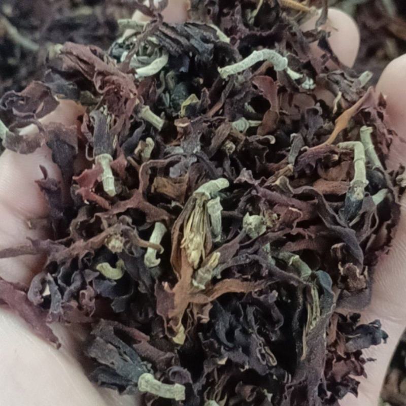 玉兰花