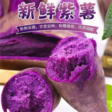 【正宗沙地紫薯】新鲜现挖紫罗兰番薯红薯地瓜一件代发包邮