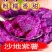 【正宗沙地紫薯】新鲜现挖紫罗兰番薯红薯地瓜一件代发包邮