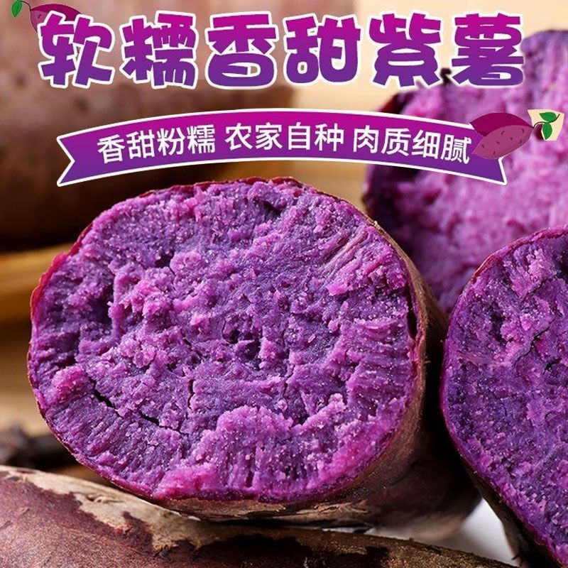 【正宗沙地紫薯】新鲜现挖紫罗兰番薯红薯地瓜一件代发包邮