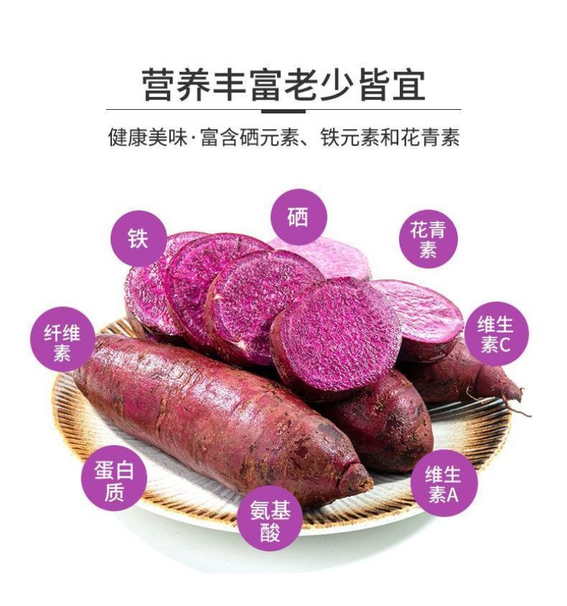 【正宗沙地紫薯】新鲜现挖紫罗兰番薯红薯地瓜一件代发包邮