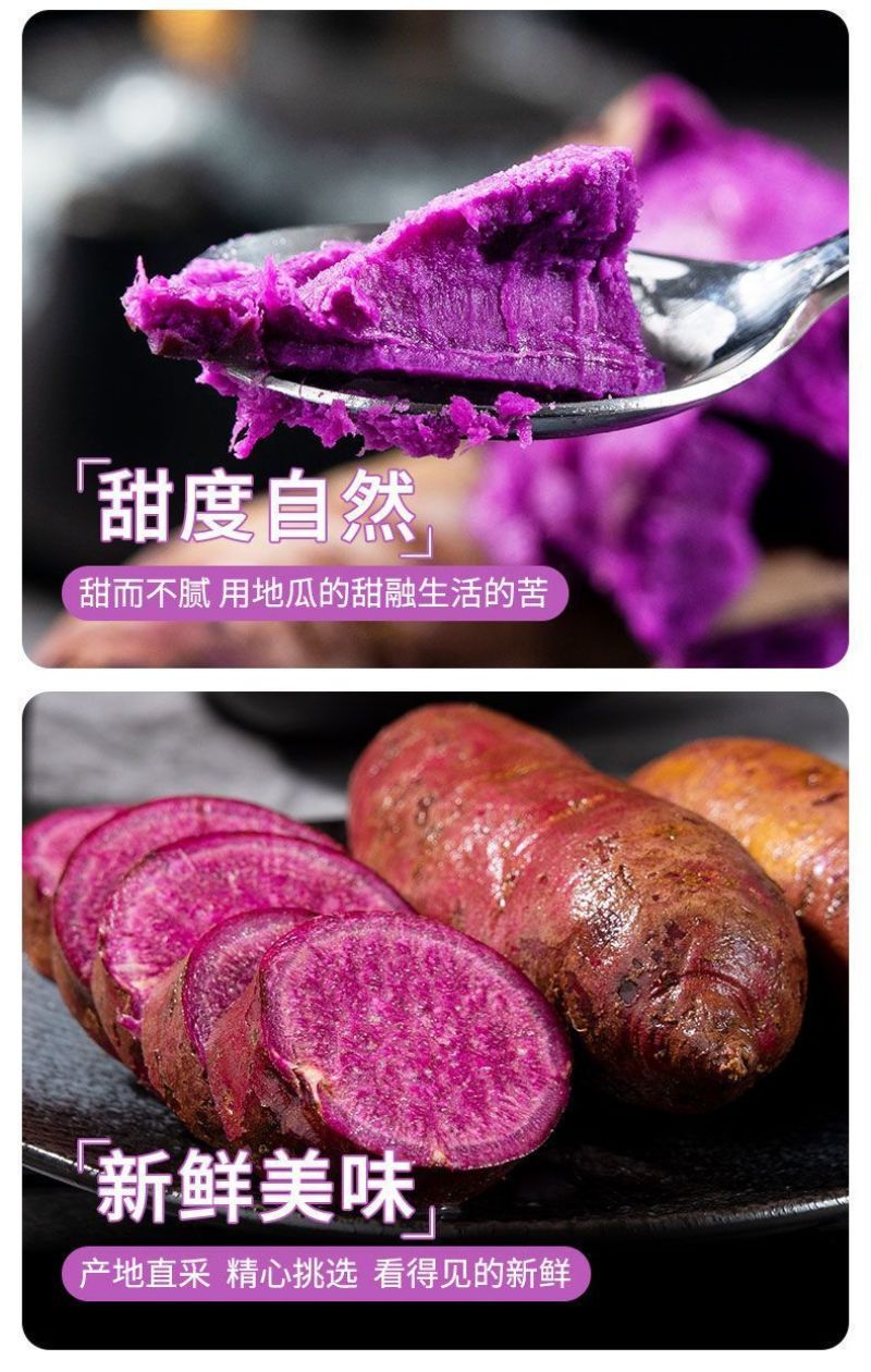 【正宗沙地紫薯】新鲜现挖紫罗兰番薯红薯地瓜一件代发包邮