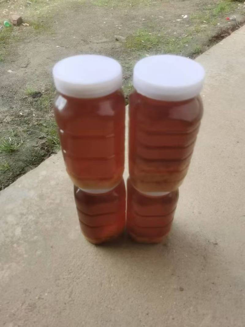 出售陕南土蜂蜜货源充足，量大从优欢迎订购