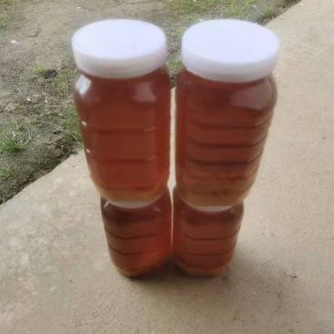 出售陕南土蜂蜜货源充足，量大从优欢迎订购