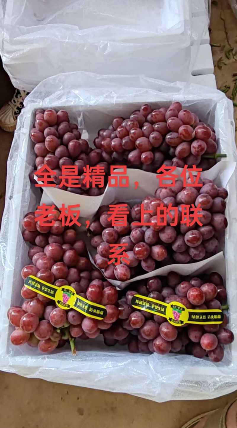 元谋红提大量上市，口感脆甜。